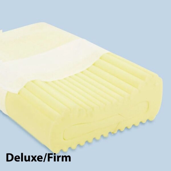 Sleeperrr therapeutic foam pillow deluxe/firm version. For those that prefer traditional foam over memory foam.